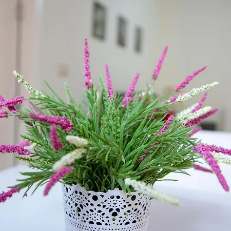 Apartmán Calle Sierpes *